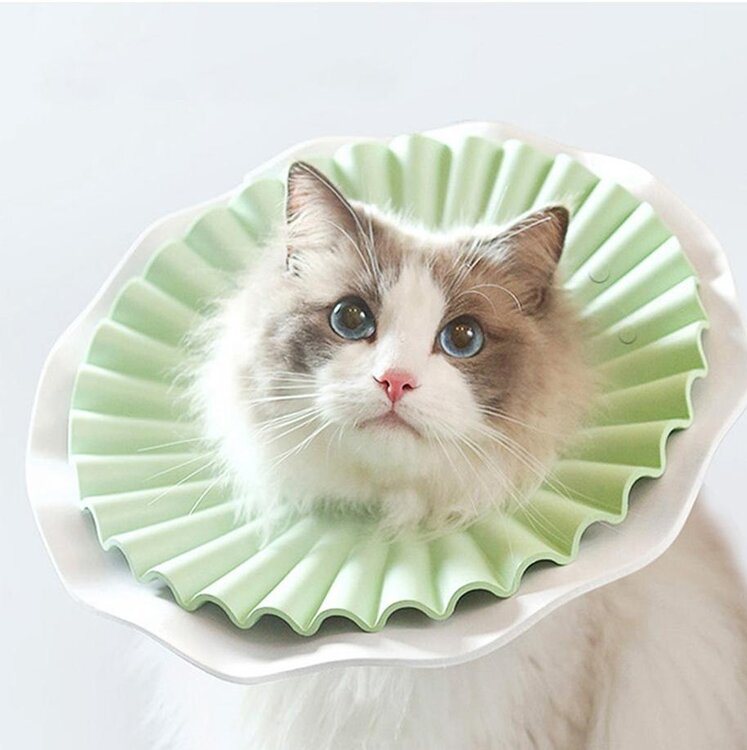 kattenkapje zacht