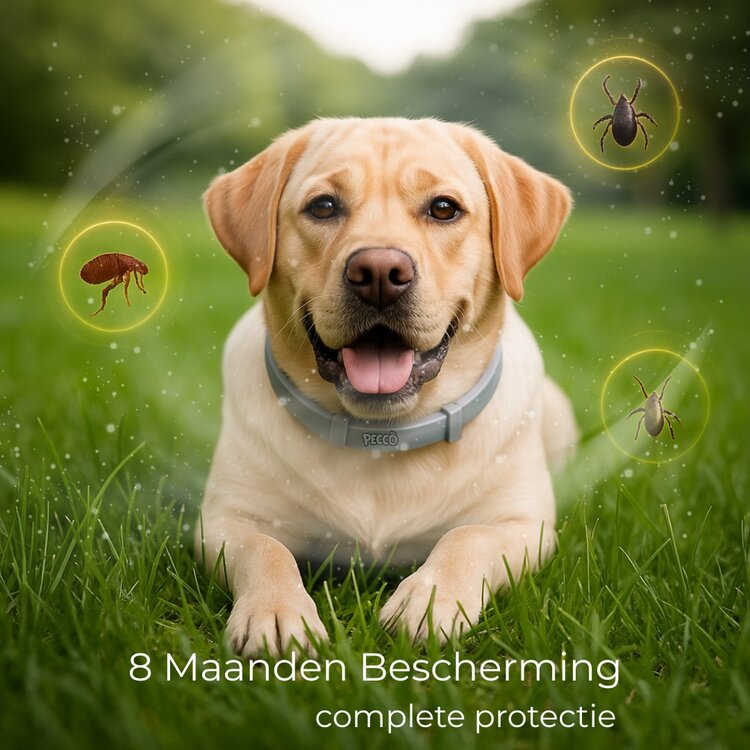 tekenband voor honden. Werking 8 maanden
