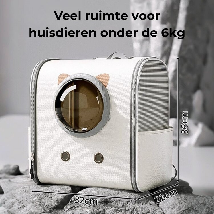 Leuke rugtas voor kat