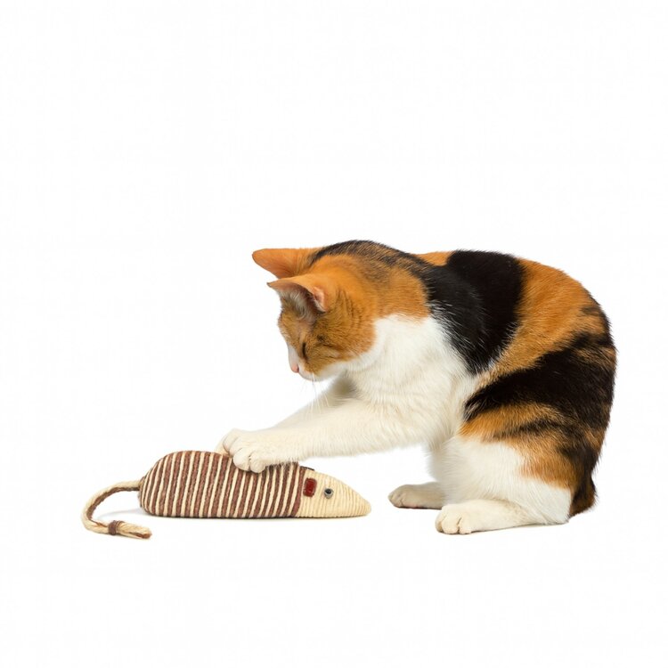 Nobleza Kattenspeelgoed - Sisal muis - 21 cm