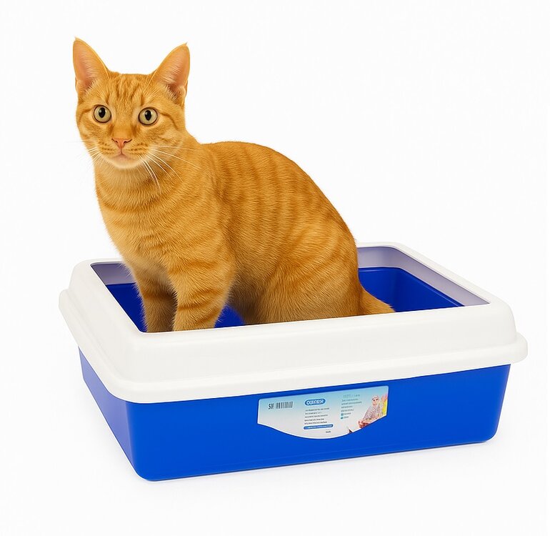 Open kattenbak met hoge rand