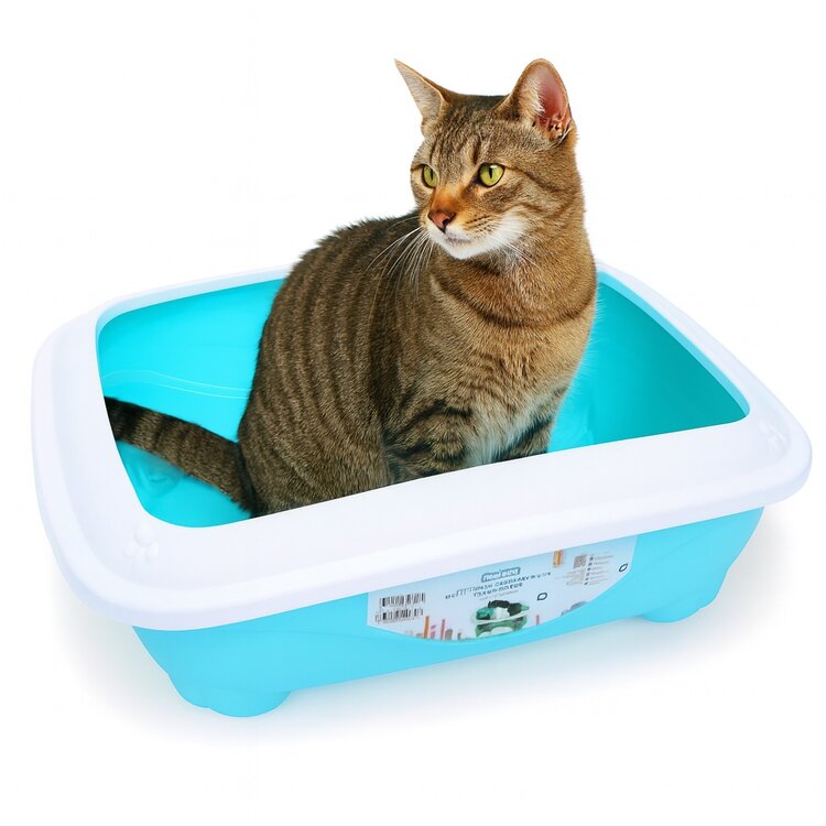 kattenbak met spatrand lichtblauw middelmaat