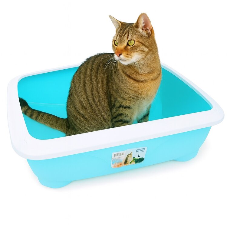 Grote open kattenbak voor grote katten