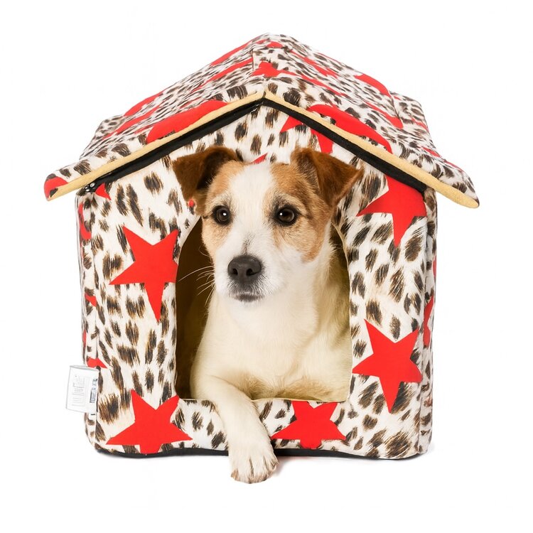 Leuke overdekte mand voor een hondje