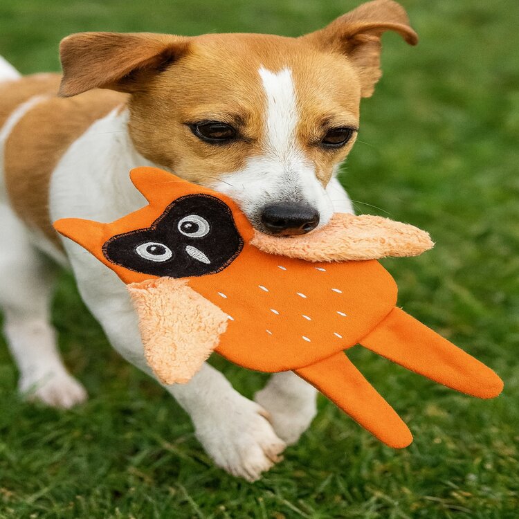 Jack and Vanilla uil hondenknuffel