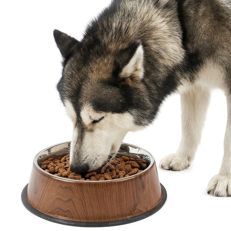 Grote luxe voerbak voor honden