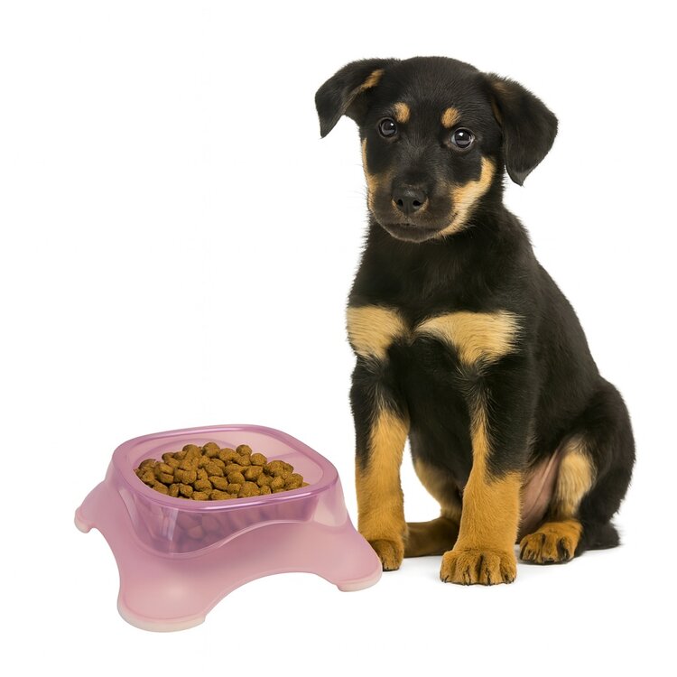 Voerbak van plastic voor hondje