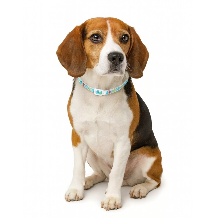 Nobleza Honden vlooienband - Natuurlijk - Werking 4-6 weken - 52 cm
