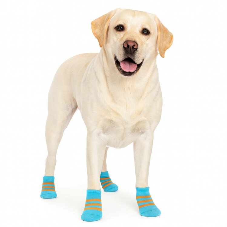 Sokjes voor labrador