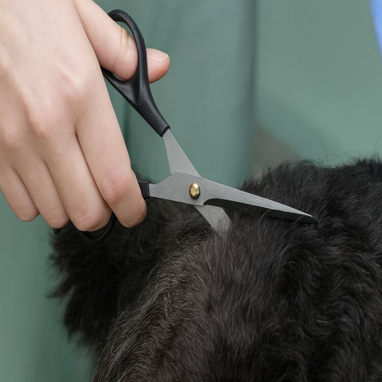 Schaar voor de vacht van huisdieren