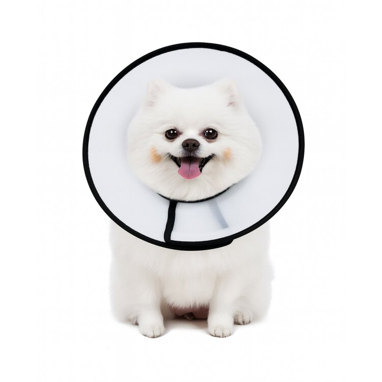 Nobleza Beschermkraag voor hond  - Maat M