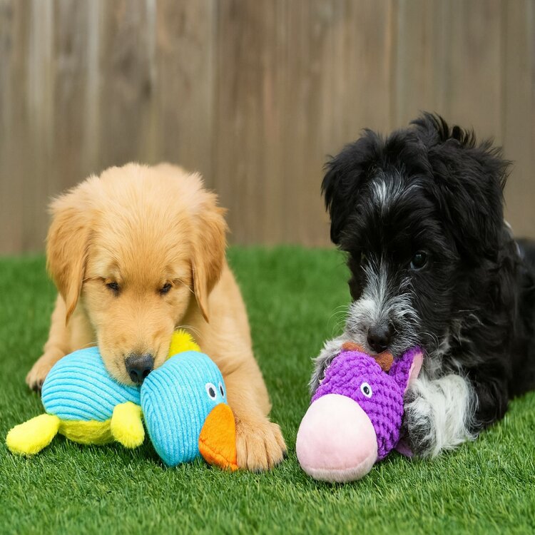 Nobleza Honden piepspeeltje - Pluche knuffel