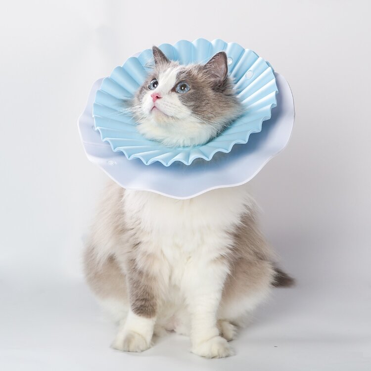 Aino Zachte beschermkraag voor grote kat of hondje - blauw - Maat L