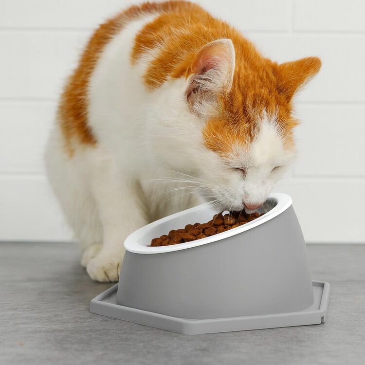 Kattenvoerbak verhoogd - Grijs