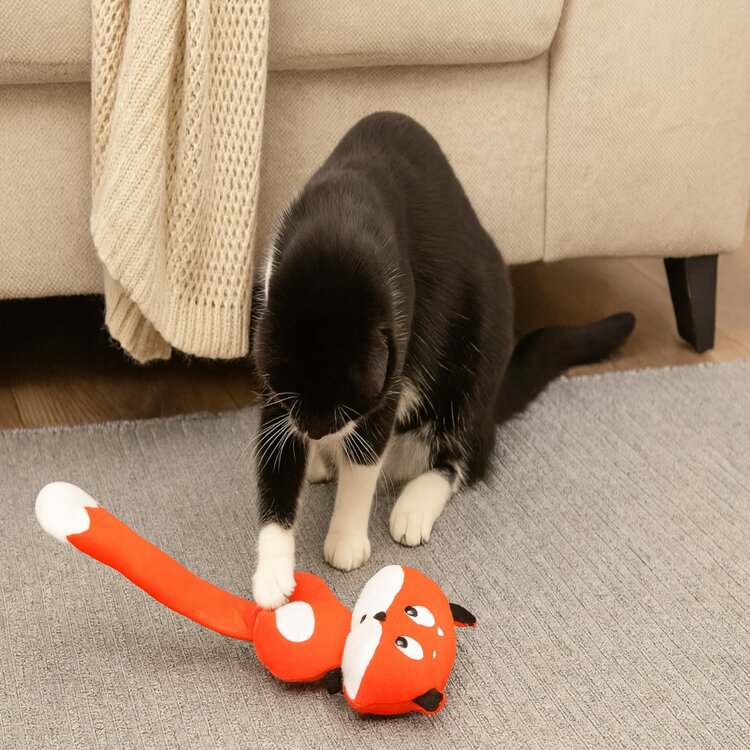 Kattenspeeltje vos met kattenkruid