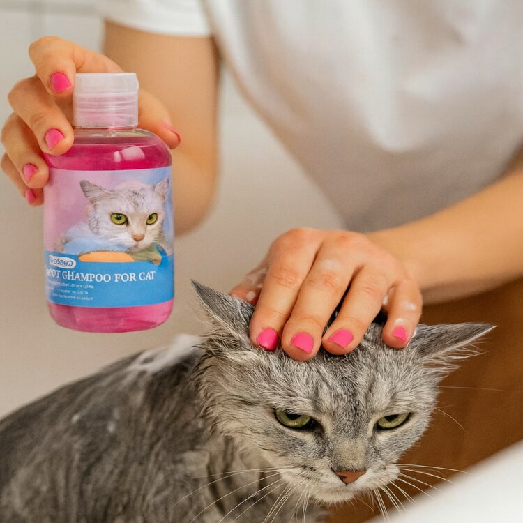 Shampoo voor katten 250ml