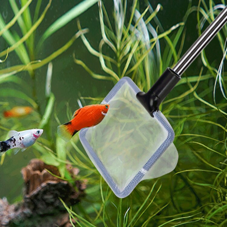 Nobleza Aquarium schoonmaakset - Uitschuifbaar