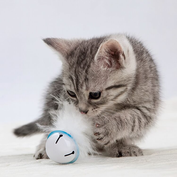 Nobleza Kattenspeeltje belletje met veren