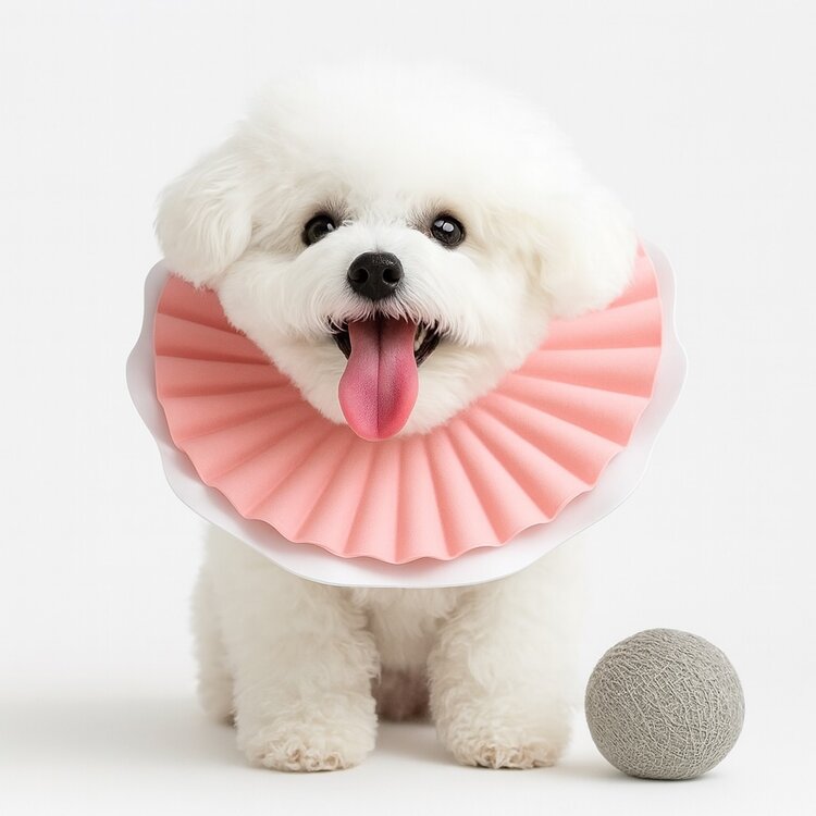 Aino Zachte beschermkraag voor grote kat of hondje - Roze - Maat L