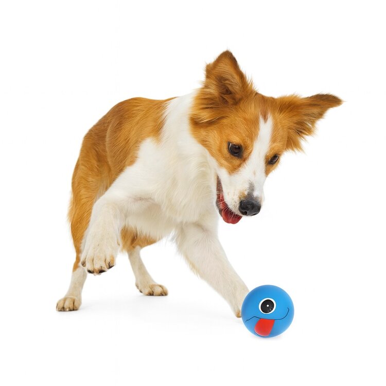 Nobleza Hondenspeelgoed - Bal met piep - Blauw - 7,5 cm