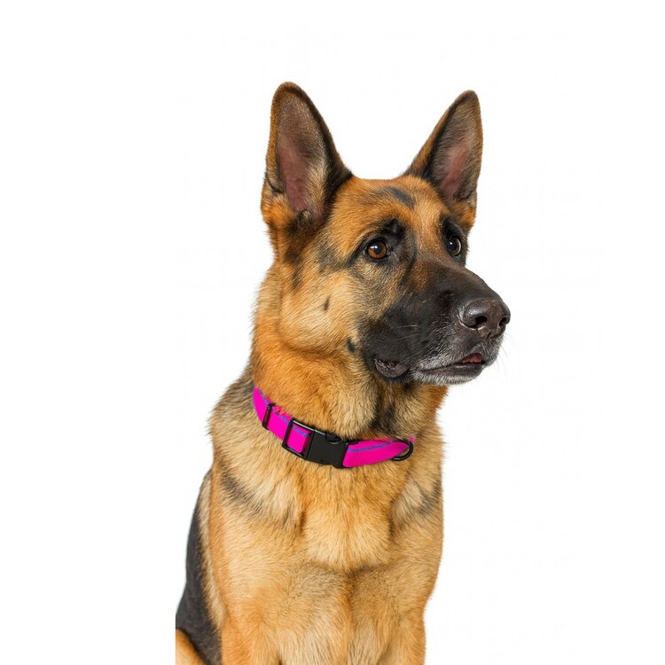 Roze halsband voor grote honden