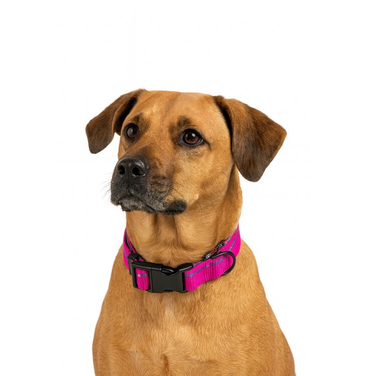 Jack and Vanilla Hondenhalsband - Nylon - Kliksluiting - Roze - 47 cm