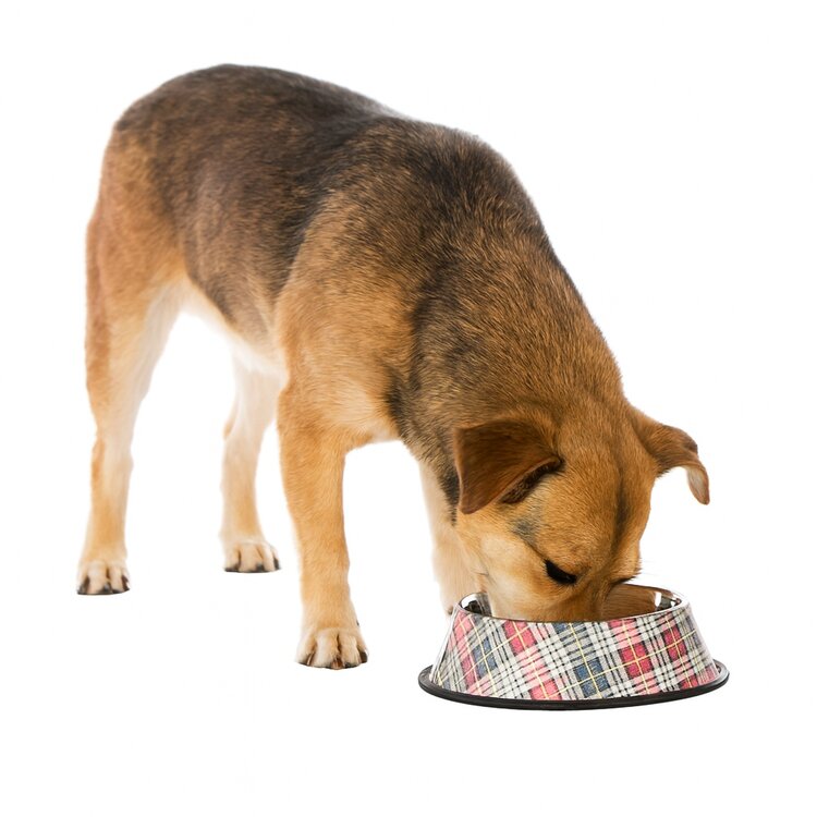 Honden voer en of drinkbak