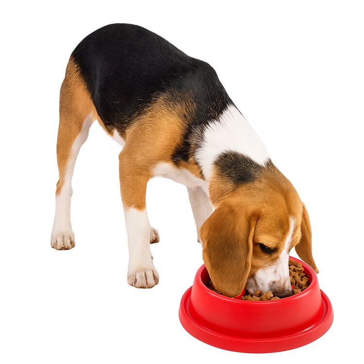 Anti schrokbak voor honden 