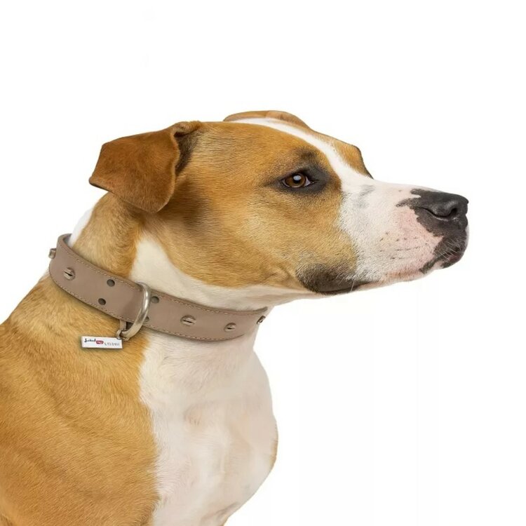 Jack and Vanilla Hondenhalsband - Leer - Grijs - 55 cm