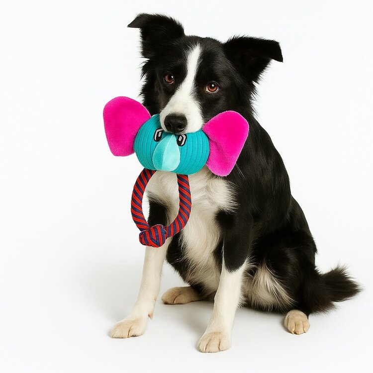 Hondenknuffel met touw