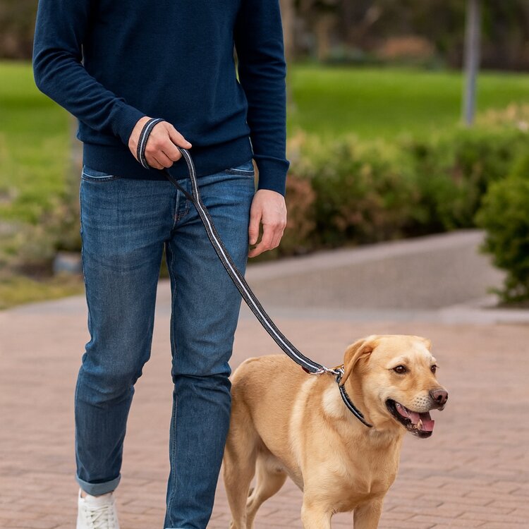 Riem voor uitlaten van honden