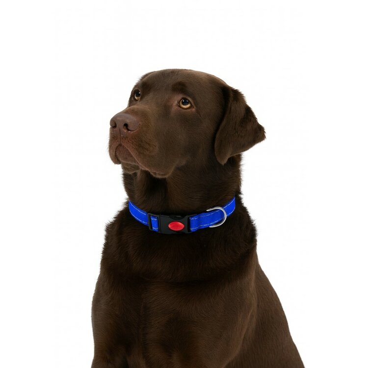 Nobleza Hondenhalsband met kliksluiting - Blauw - Reflecterend - 60 cm