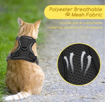 Harnas voor katten met riem