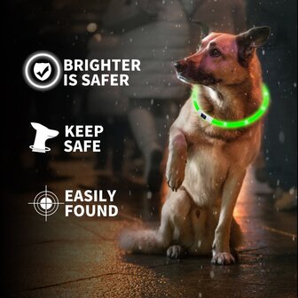 Veiligheidsverlichting voor honden L
