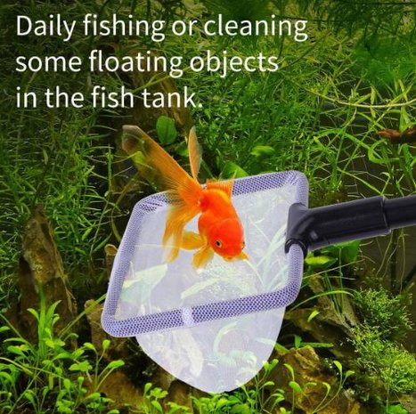Visnetje voor aquariumvissen