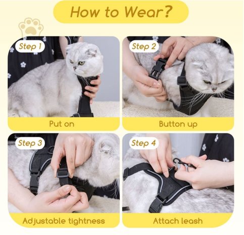 Kattenharnas zwart