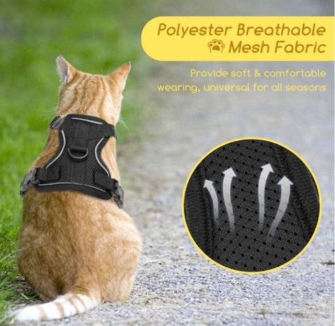 Harnas voor katten met riem