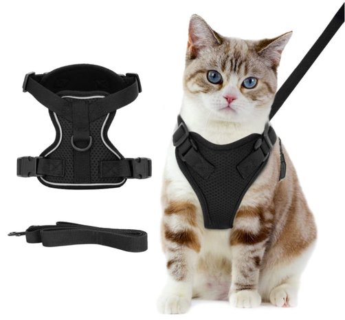 harnasje voor volwassen katten