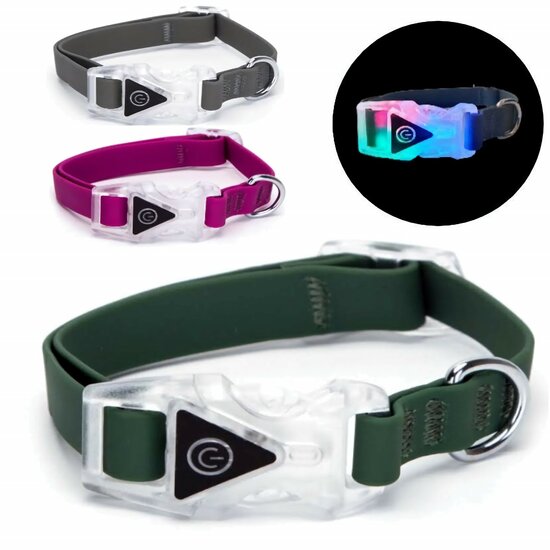Halsband hond met licht
