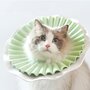 kattenkapje zacht