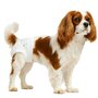 Nobleza luier voor honden L