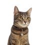Nobleza Belletje voor kattenhalsband - Chrome  - 15 mm