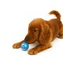 Leuke speelbal met piep voor honden