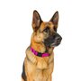 Roze halsband voor grote honden