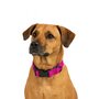 Jack and Vanilla Hondenhalsband - Nylon - Kliksluiting - Roze - 47 cm