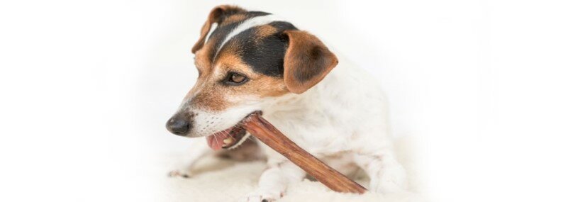 Snacks-voor-honden