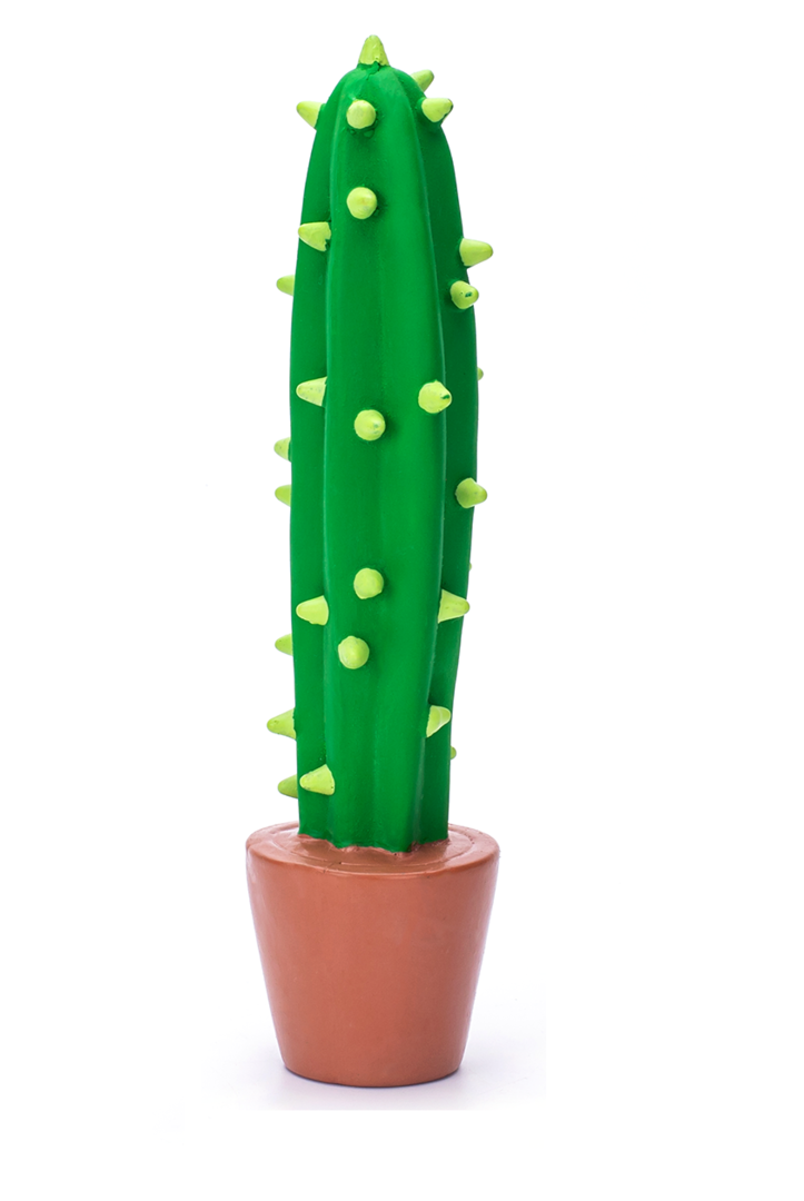 cactus piepspeelgoed
