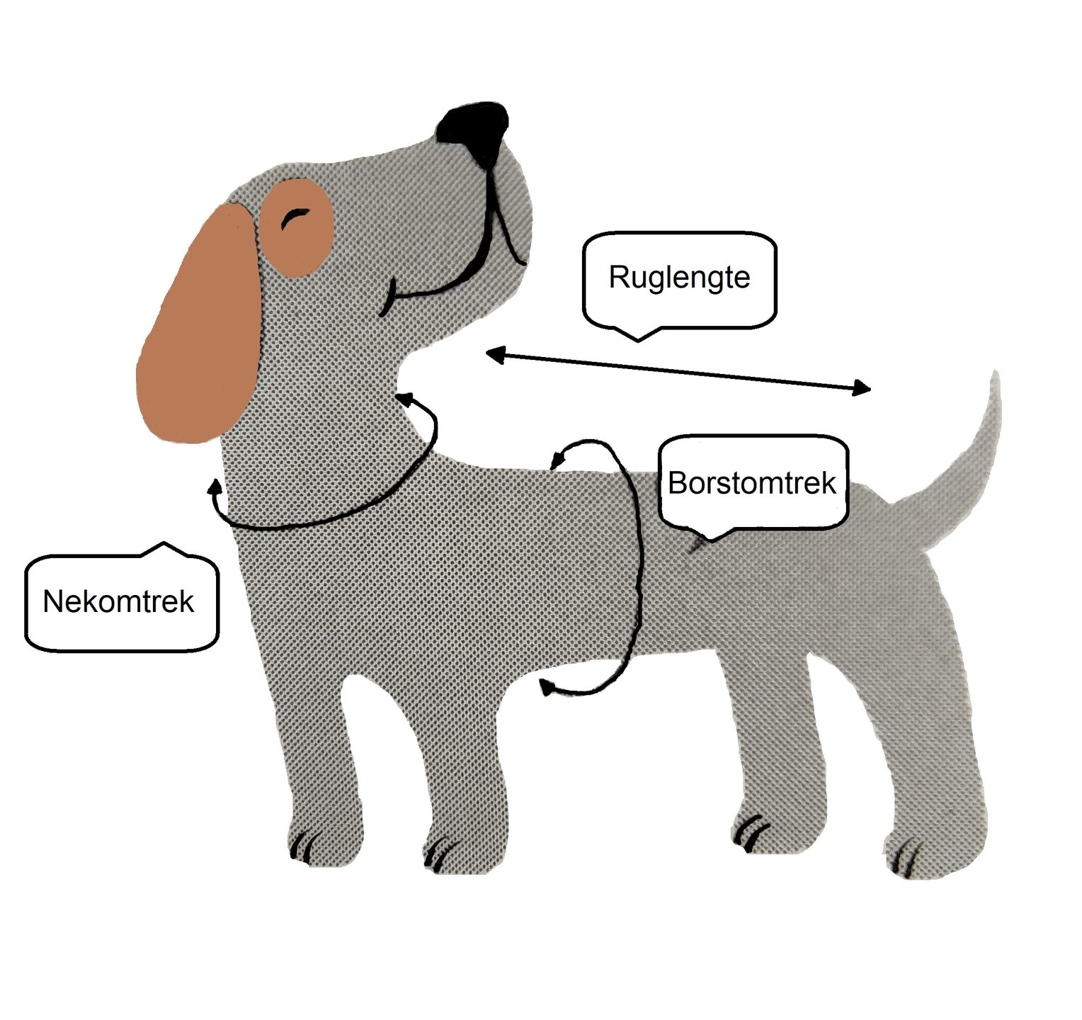 Borstomtrek van hond meten