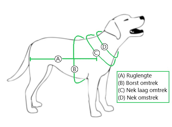 meten hond tuigje