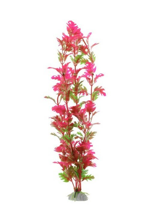 Nobleza Aquariumplant - Nepplant - Kunststof plant - aquarium inrichting - aquariumdecoratie - Rood blad